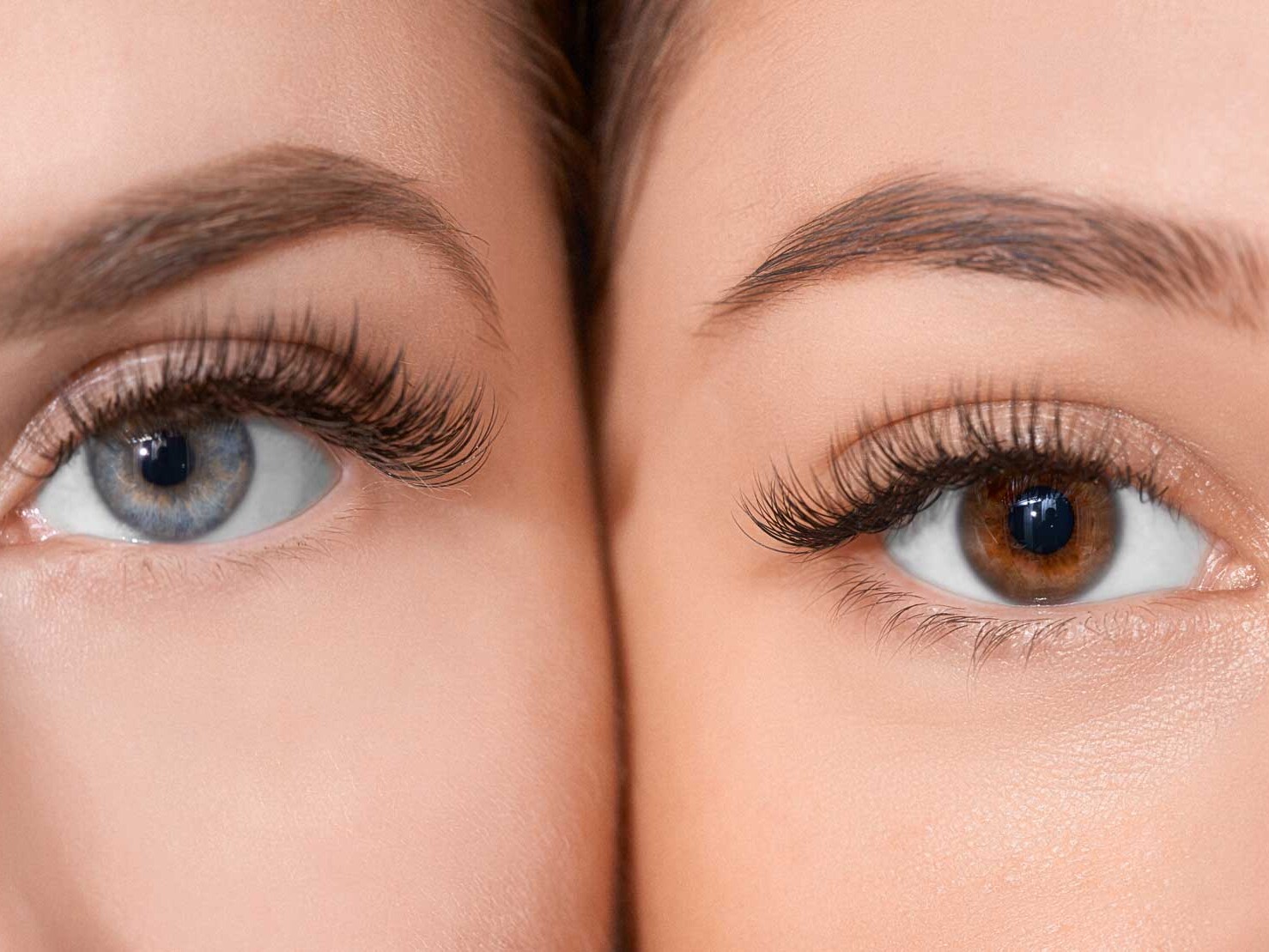 Classic Lashes